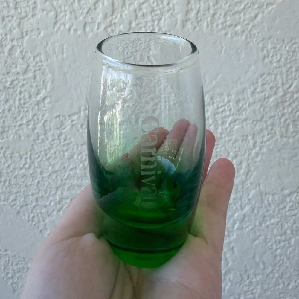 Carnival Cruise Green Ombre 5oz Shot Glass Souvenir Barware OS